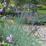 Bed and breakfast Moulin De -montmirail -sarthe 4*