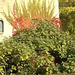 Bed and breakfast Moulin De -montmirail -sarthe Champrond