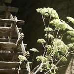 Alojamento de Acomodação e Pequeno-almoço Moulin De -montmirail -sarthe 4*