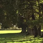 Bed and breakfast Moulin De -montmirail -sarthe Champrond