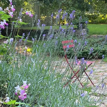 Bed and breakfast Moulin De -montmirail -sarthe 4*