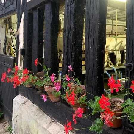 Moulin De -montmirail -sarthe Bed & Breakfast 4*