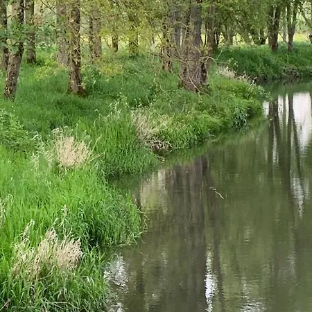 Bed and breakfast Moulin De -montmirail -sarthe