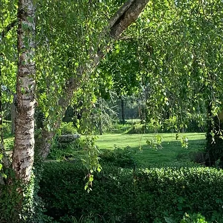 Moulin De -montmirail -sarthe Bed and breakfast