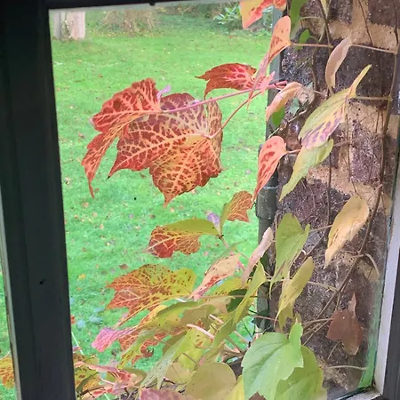 Moulin De -montmirail -sarthe Bed and breakfast Champrond