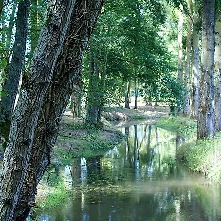 לינה וארוחת בוקר Moulin De -montmirail -sarthe