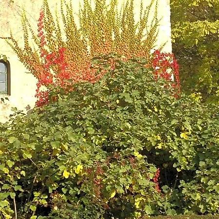 Moulin De -montmirail -sarthe לינה וארוחת בוקר Champrond