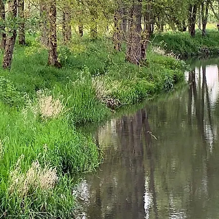 Moulin De -montmirail -sarthe לינה וארוחת בוקר Champrond