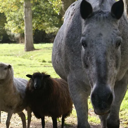 Moulin De -montmirail -sarthe Bed and breakfast