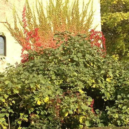 Bed and breakfast Moulin De -montmirail -sarthe Champrond