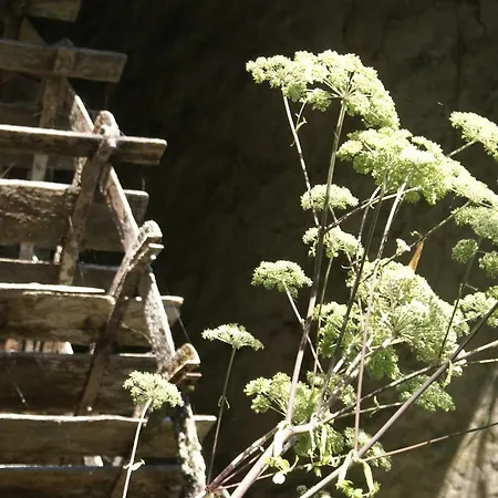 Bed and breakfast Moulin De -montmirail -sarthe 4*