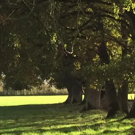 Bed & Breakfast Moulin De -montmirail -sarthe Champrond