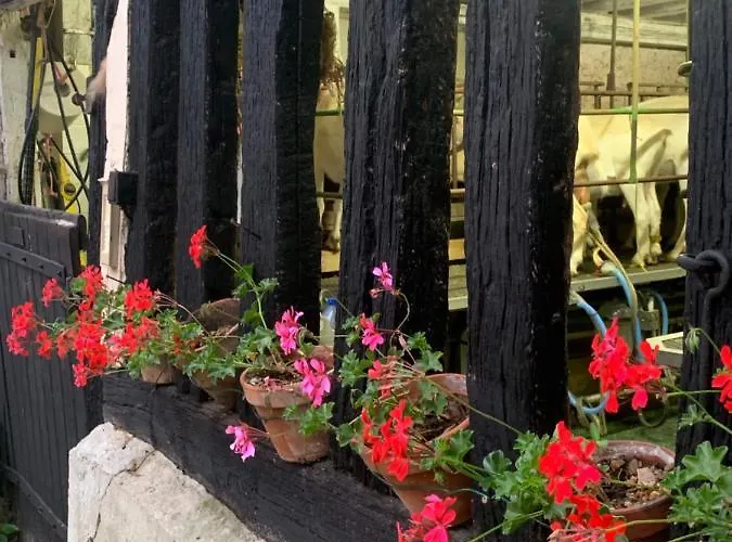 Moulin De -montmirail -sarthe Couette-café 4*