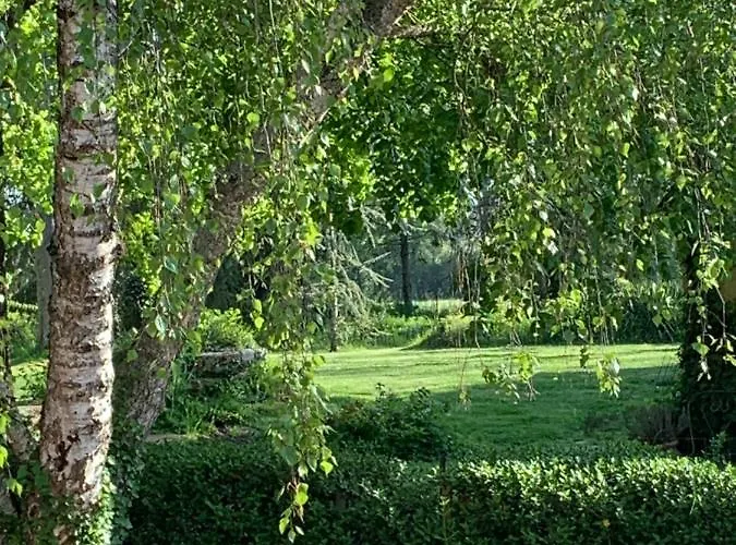 Moulin De -montmirail -sarthe Couette-café