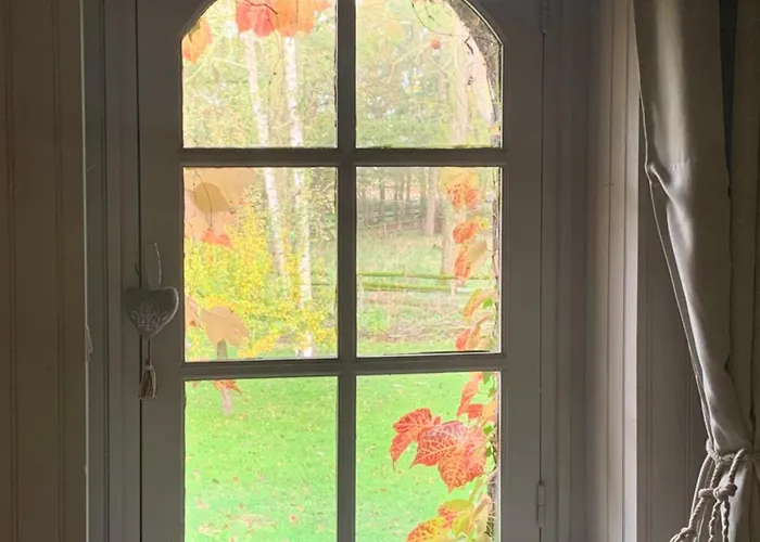 Moulin De -montmirail -sarthe Couette-café Champrond