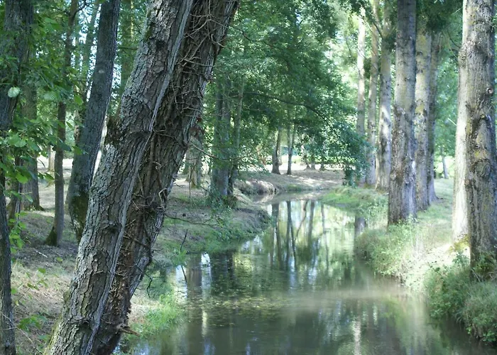 Moulin De -montmirail -sarthe Couette-café
