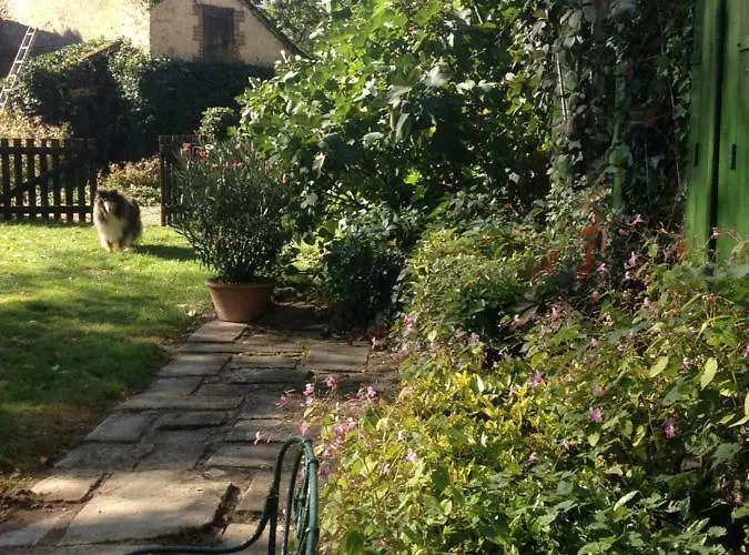 Moulin De -montmirail -sarthe Couette-café Champrond