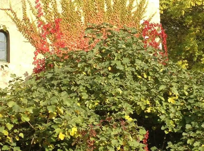 Couette-café Moulin De -montmirail -sarthe Champrond