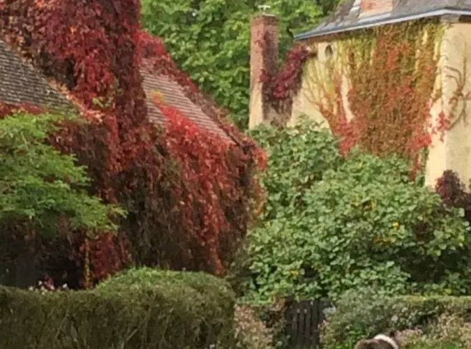 Moulin De -montmirail -sarthe Champrond