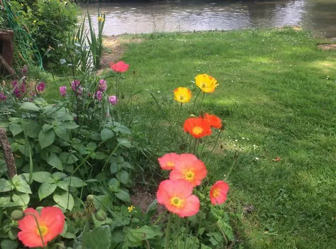 Moulin De -montmirail -sarthe Couette-café