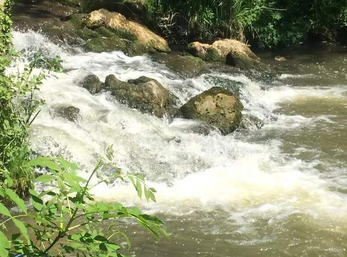 Moulin De -montmirail -sarthe 4* Champrond