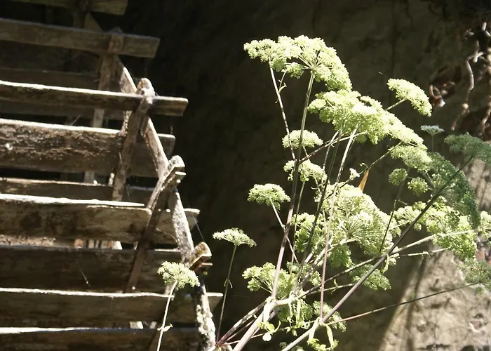 Couette-café Moulin De -montmirail -sarthe 4*