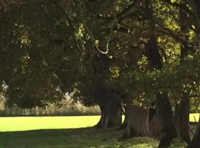 Couette-café Moulin De -montmirail -sarthe Champrond
