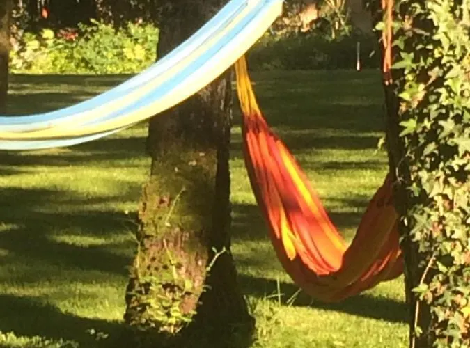 Moulin De -montmirail -sarthe Couette-café Champrond